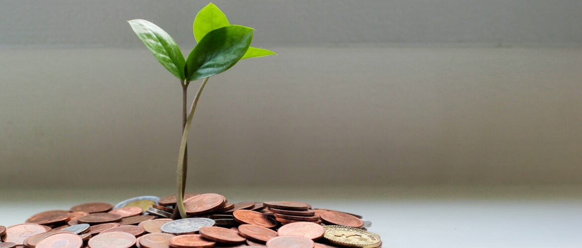 Seedling growing from a pile of coins